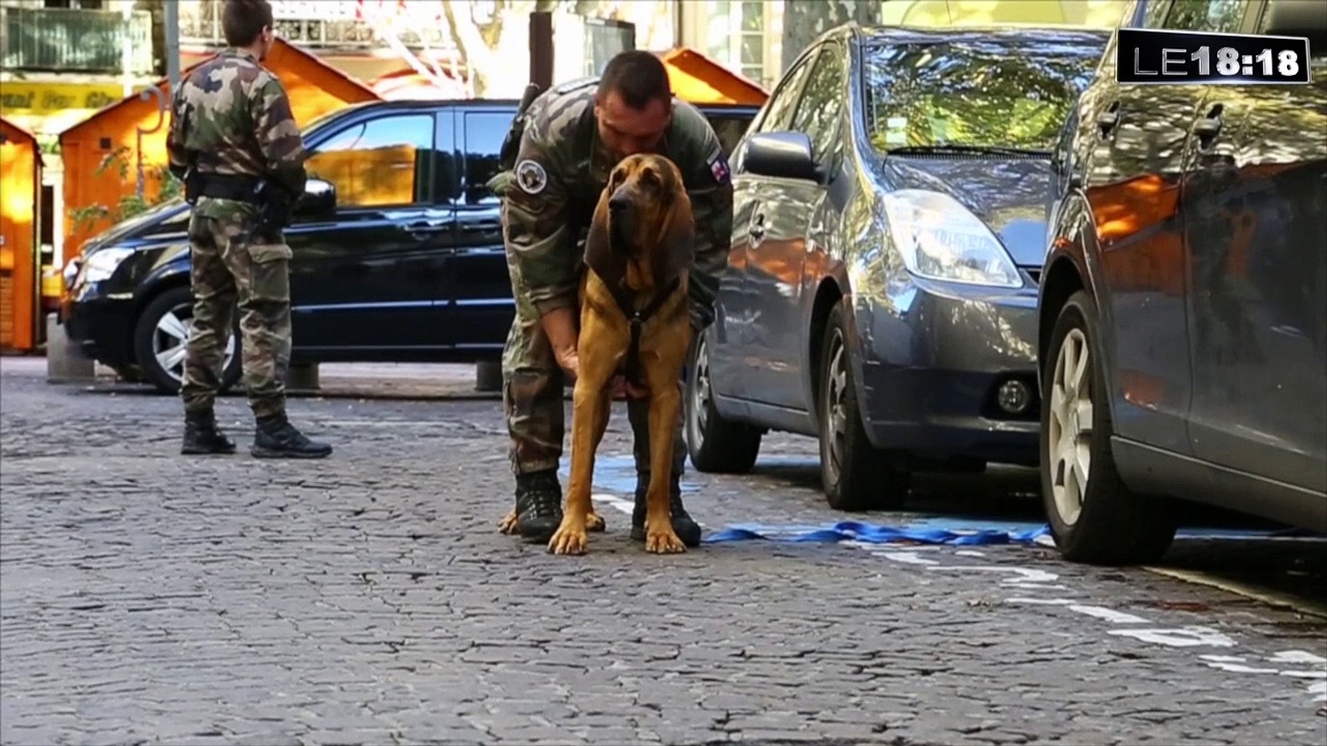 Jaffar Le Chien Star Du Monde Du Secourisme