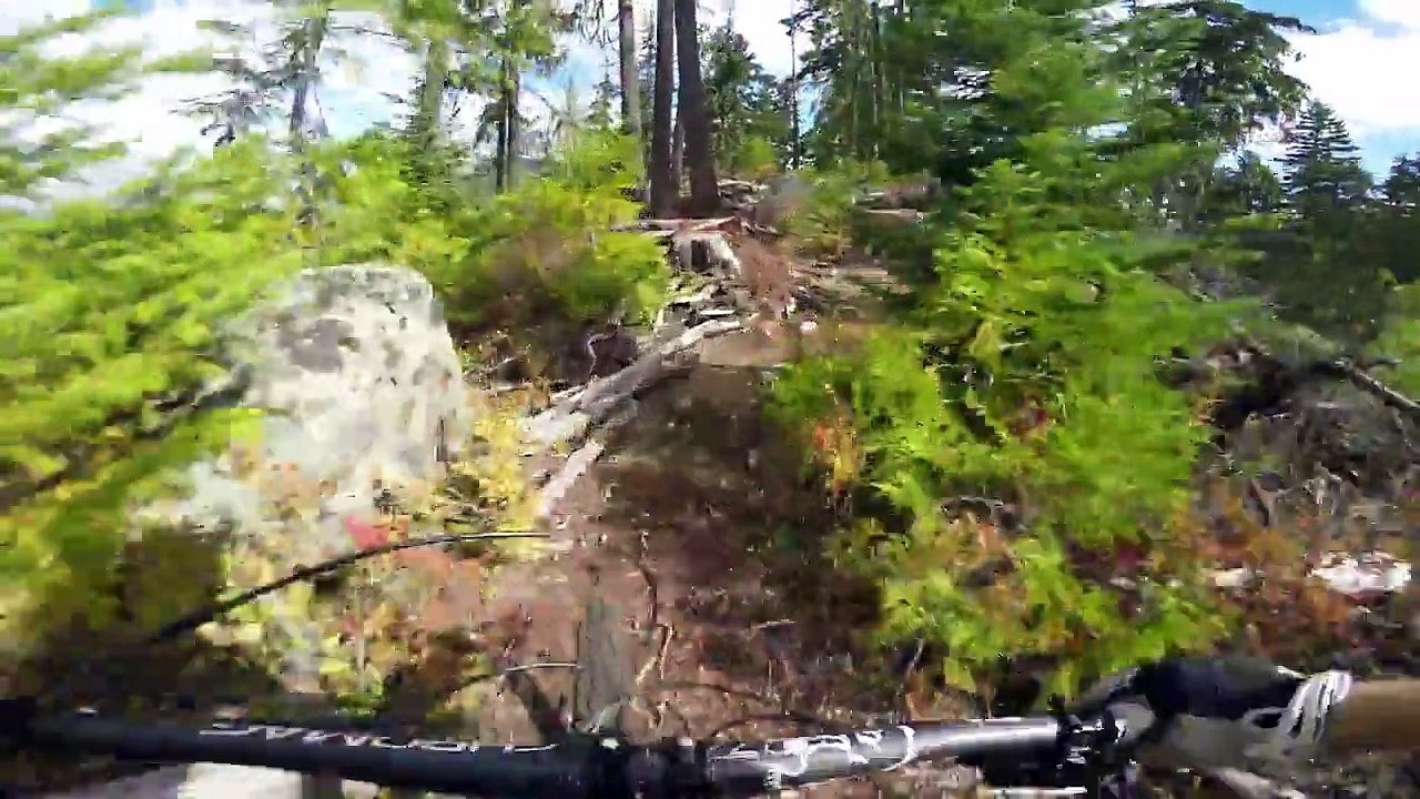 Descente incroyable en VTT dans une foret. Vertigineux!