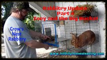 Rabbits - Overdue Rabbitry Update 10-9-2016 Part 4 Zoey and the Bucks!.mp4