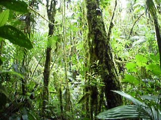 expedición aguarica abril-2011