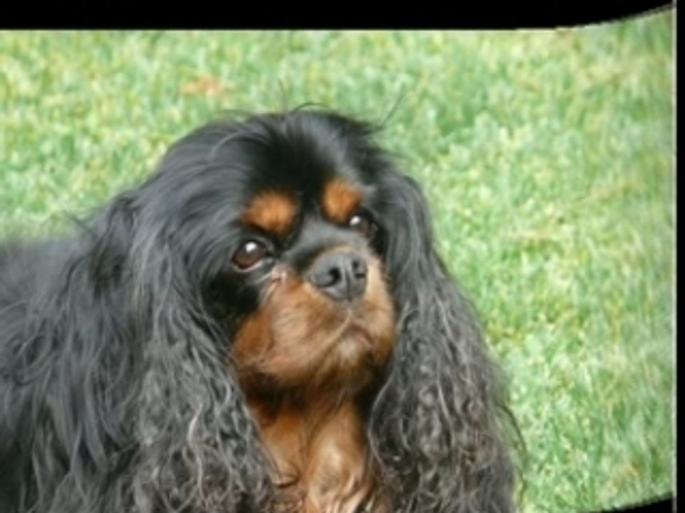 Rudy