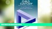 Big Deals  Child Custody: Practice Standards, Ethical Issues, and Legal Safeguards for Mental