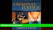 Big Deals  Criminal Justice: A Brief Introduction  Full Ebooks Best Seller