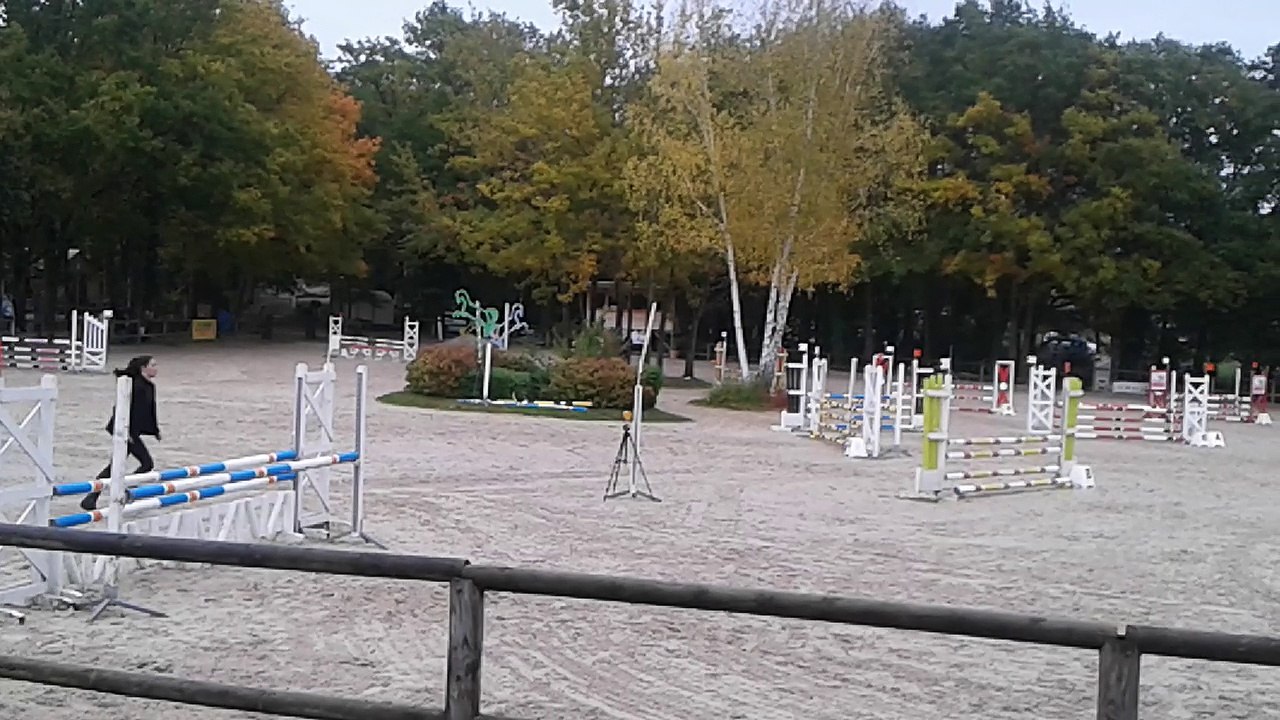 Tilleul de Bucy