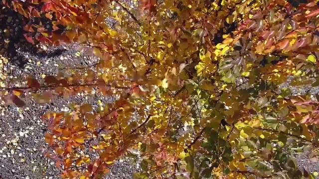 D!CI TV : Alpes du Sud : Le val de Durance et la vallée de l'Avance en automne vus du ciel