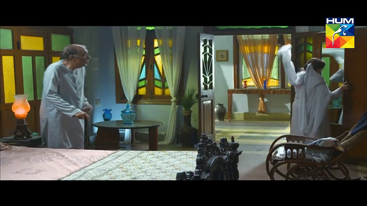 Dil Banjaara Episode 3 Full HD HUM TV Drama 28 October 2016