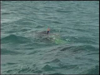 Corn island, Nicaragua (From Adventures in Nicaragua DVD)