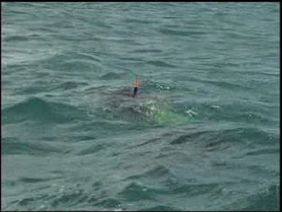 Corn island, Nicaragua (From Adventures in Nicaragua DVD)