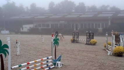 Tilleul de Bucy  Léna TDA Barbizon