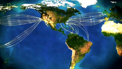 World Population to hit 11 Billion in 2100 Full Documentary