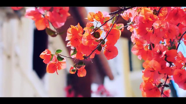 Viki Miljkovic - 2016 - Rodjendan