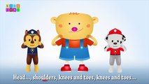 Head, Shoulders, Knees and Toes - Nursery Rhymes for Kids
