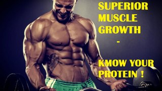 How To Gain More Muscles | Workout Plan and Diet Tips |