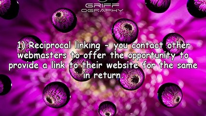 The Benefits of Link Building to Website Promotion