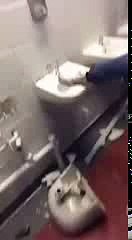 Man City supporters destroying the sinks at Old Trafford