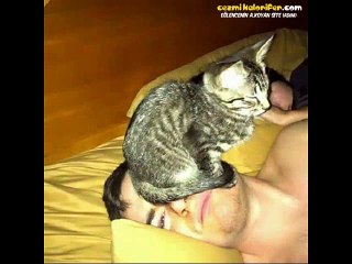 Bu Dünyaya İnsan Irkını Trollemek İçin Gelen Kediler