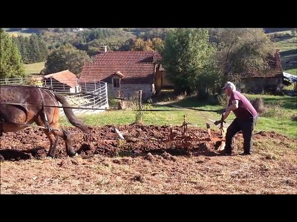 Ophélie labour oct 16