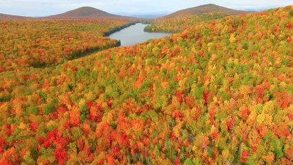 Soak In The Autumn Colors On Aerial Tour Of Vermont