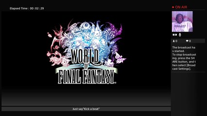 The World of Final fantasy limited edition (5)