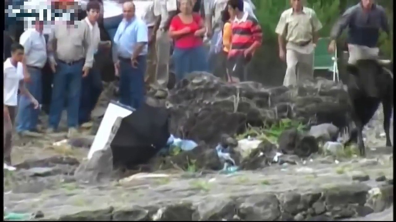 videos chistoso 2016 - Videos de risa casidas 2016 - videos engraçados P65