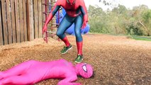 Spiderman Vs Spidergirl - Superhero Battle! w_ Hulk and Joker Superhero Time Adventures Episode MV