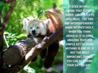 David Pflieger | 3 Ways to Improve Your Sleep Quality