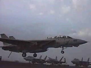 Understanding Traps: Types and Uses