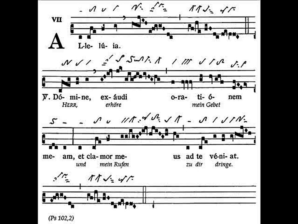 Alleluia Domine exaudi, Dominica XXIII TpA (23 TO)