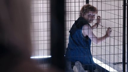 MAXIMUM RIDE Official Trailer (2016) Sci-Fi Superhero Thriller Movie HD