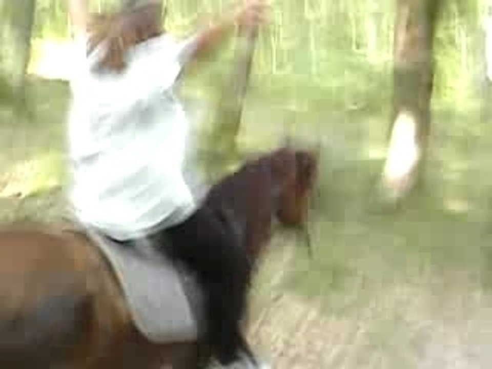 Galop foret d'angervilliers 2