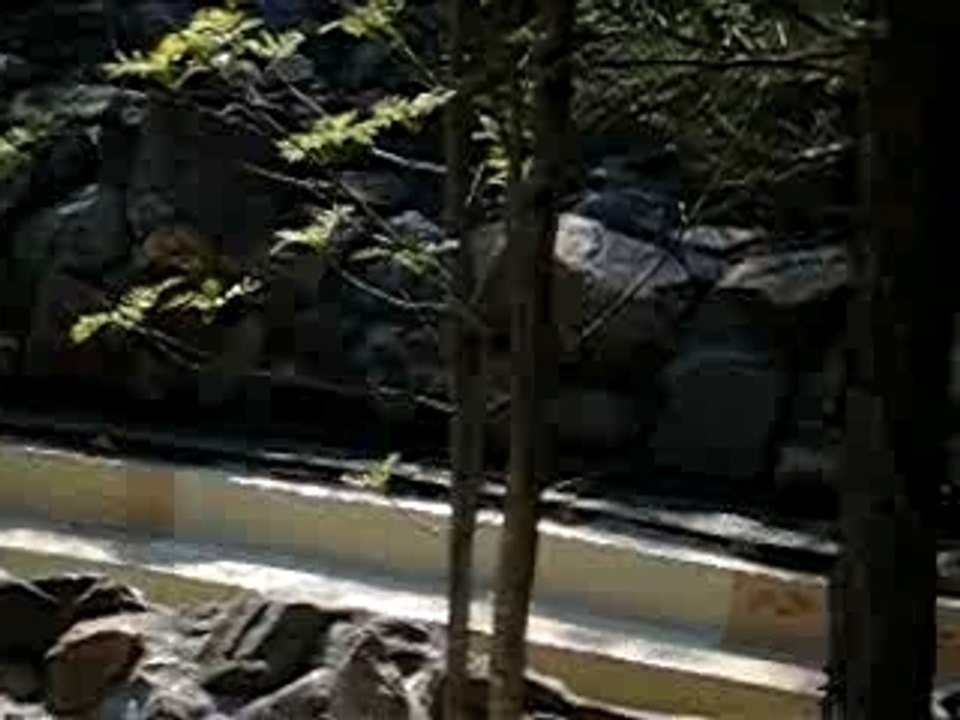 la riviere sauvag!!!
