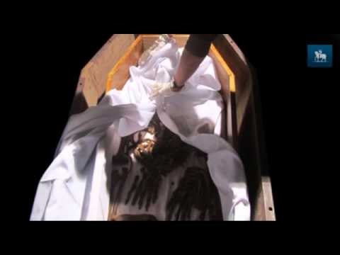 Estudo inédito revela detalhes desconhecidos da Família Imperial brasileira