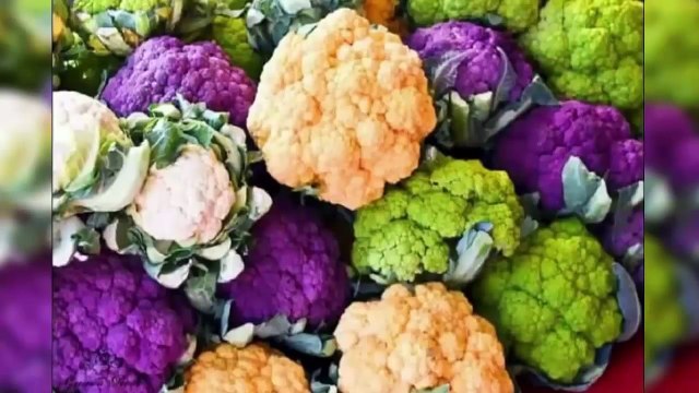 [Top 10 lạ kỳ] Những loại quả kỳ lạ nhất thế giới