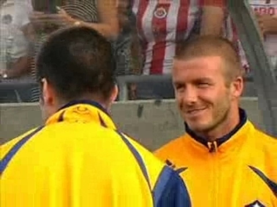 David Beckham Reports