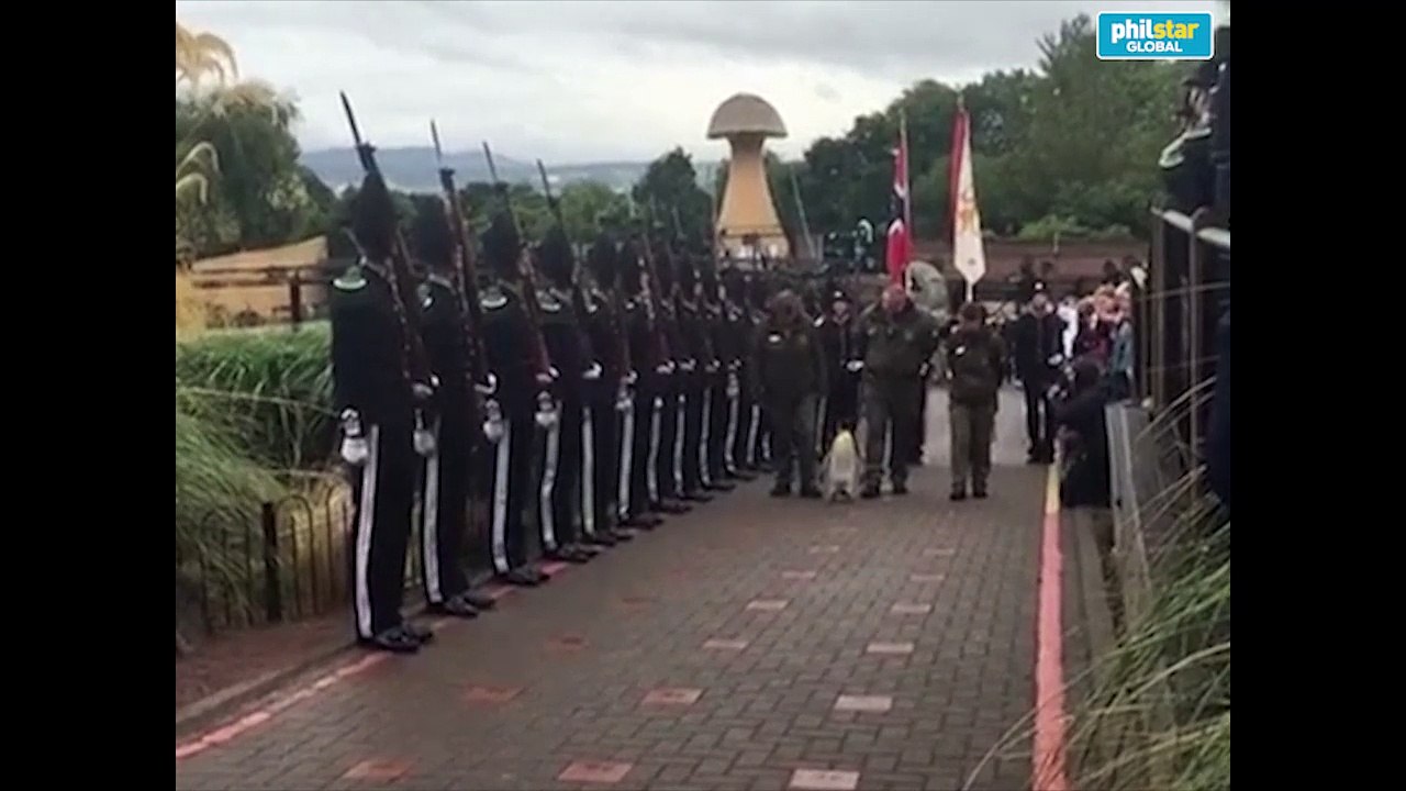 King penguin inspects Norwegian soldiers