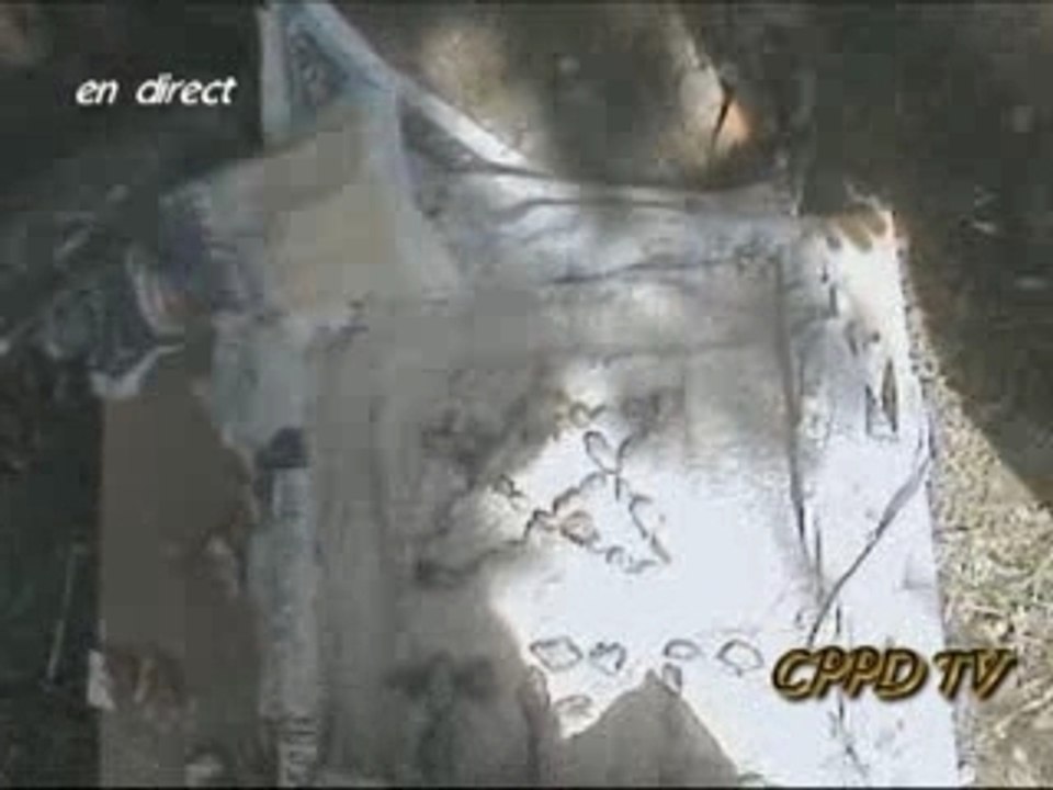 Reportage cité du parc claire chazal