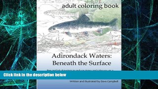 Big Deals  Adirondack Waters: Beneath the Surface  Best Seller Books Most Wanted