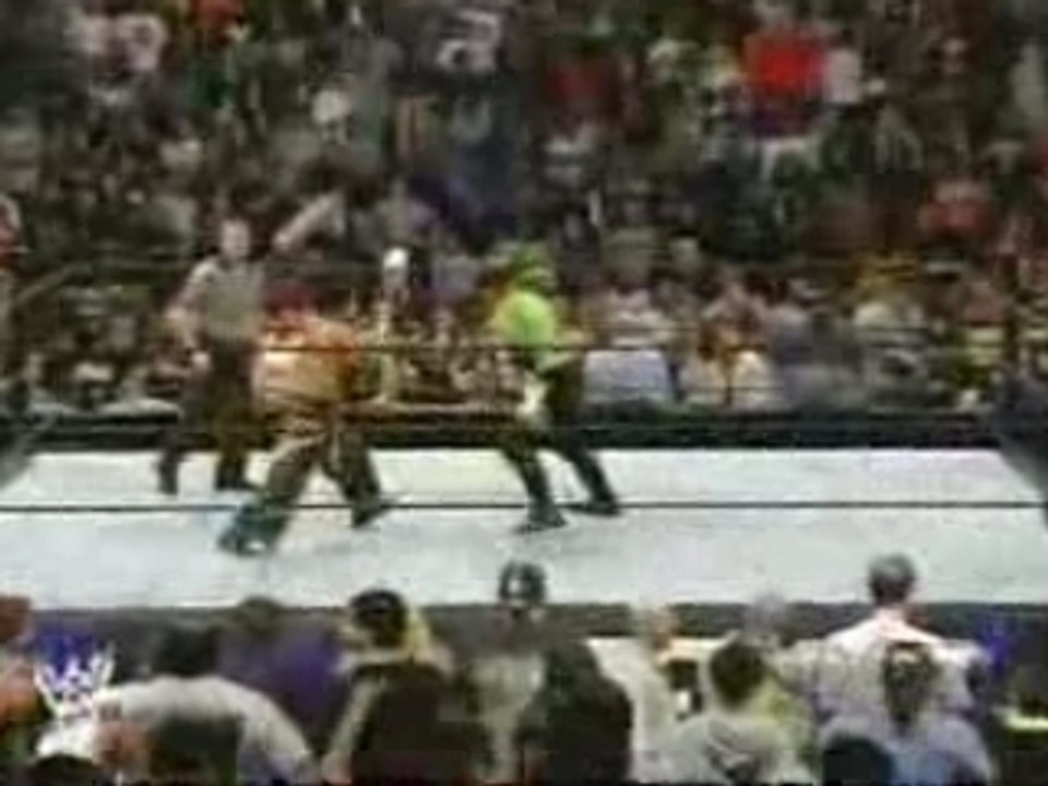 WWE-Torrie