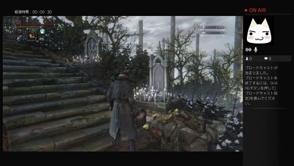 ブラボ初見プレイ (11)