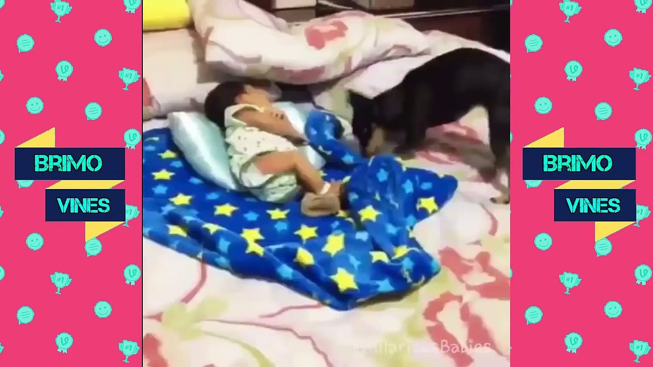 Funny Cute Kids Vines May 2016 l Vine Compilation