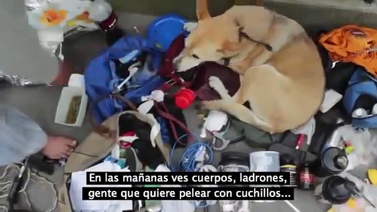 fisicoculturista de la calle motivacion gym (Street motivation bodybuilder gym)