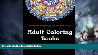 Big Deals  Adult Coloring Books: A Coloring Book for Adults Featuring Mandalas and Henna Inspired