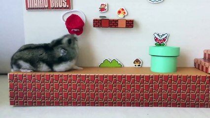 Super Mario Bros version hamster