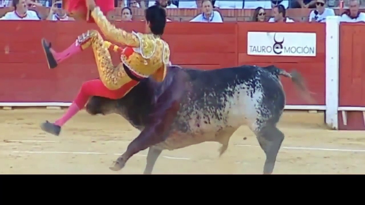 "..Horror moment! 29 years old Spanish bullfighter - GVP.."