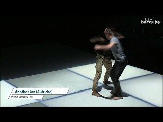 ANOTHER JAN PRO ART COMPANY