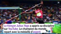 JO 2016 : Les grands moments africains du week-end