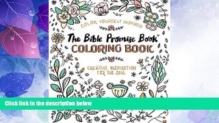 Big Deals  The Bible Promise BookÂ®: Creative Inspiration for the Soul (Color Yourself Inspired)