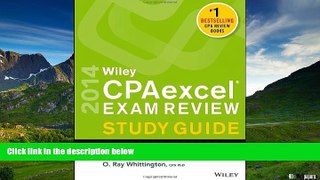READ FREE FULL  Wiley CPAexcel Exam Review 2014 Study Guide, Financial Accounting and Reporting