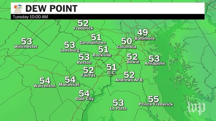 Beautiful sunshine today