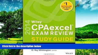 READ FREE FULL  Wiley CPAexcel Exam Review 2014 Study Guide, Financial Accounting and Reporting